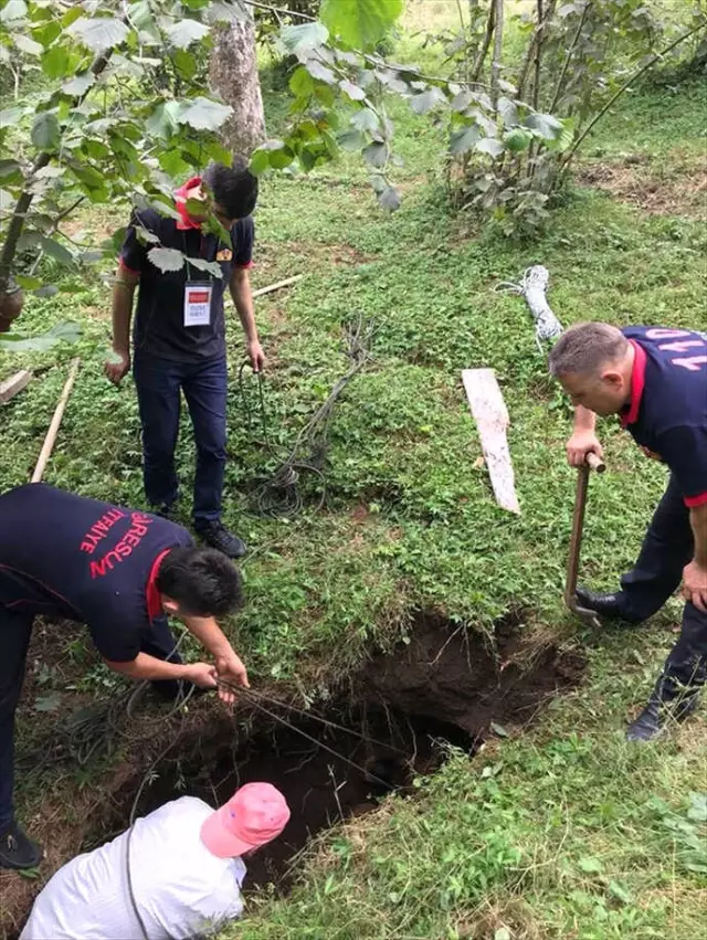 Su Kanalına Düşen Büyükbaş Hayvan Kurtarıldı Su Kanalına Düşen Büyükbaş Hayvan Kurtarıldı