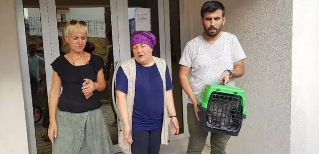 Çalınan Kedilerini Dedektif Gibi İz Sürüp Buldular