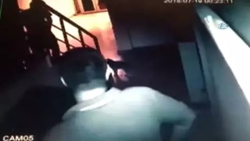 Çalınan Kedilerini Dedektif Gibi İz Sürüp Buldular