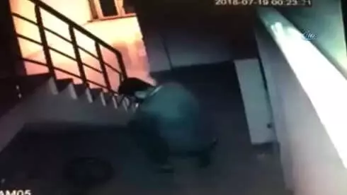 Çalınan Kedilerini Dedektif Gibi İz Sürüp Buldular