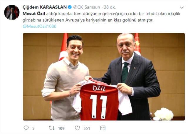 Alman Milli Takımını Bırakma Kararı Alan Mesut Özil'e Destek Yağdı
