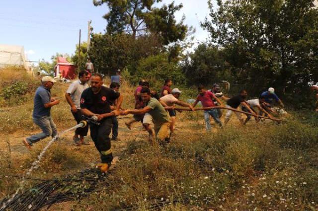 Antalya'da Orman Yangını! Evler ve Seralar da Zarar Gördü