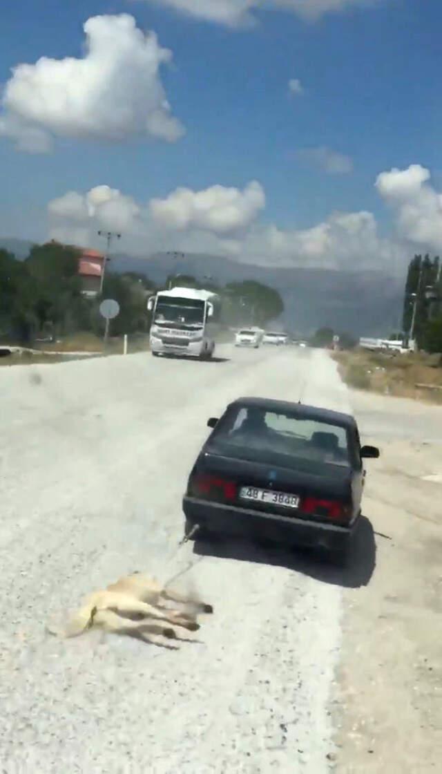 Cani Adam Köpeği Arabanın Arkasına İple Bağlayarak Sürükledi!
