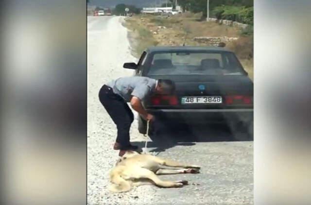Cani Adam Köpeği Arabanın Arkasına İple Bağlayarak Sürükledi!