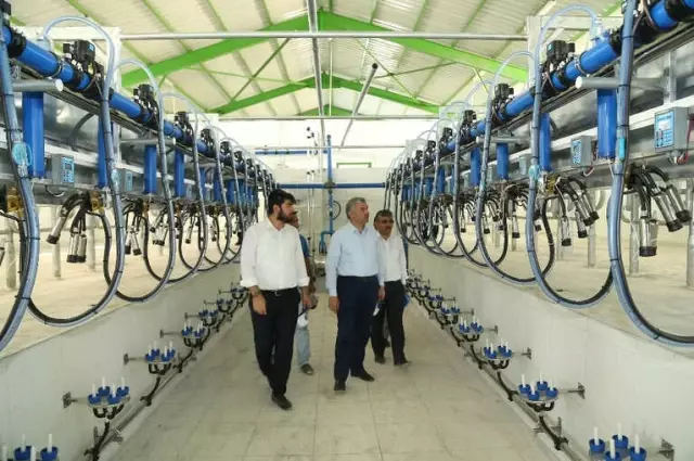 İlçelere Ekonomik Destek İçin Örnek Proje İlçelere Ekonomik Destek İçin Örnek Proje