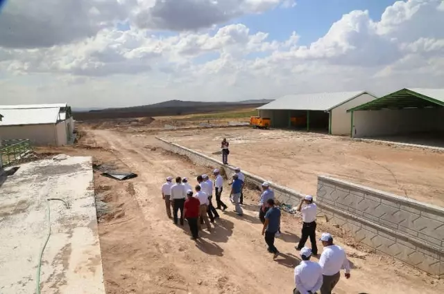 İlçelere Ekonomik Destek İçin Örnek Proje İlçelere Ekonomik Destek İçin Örnek Proje