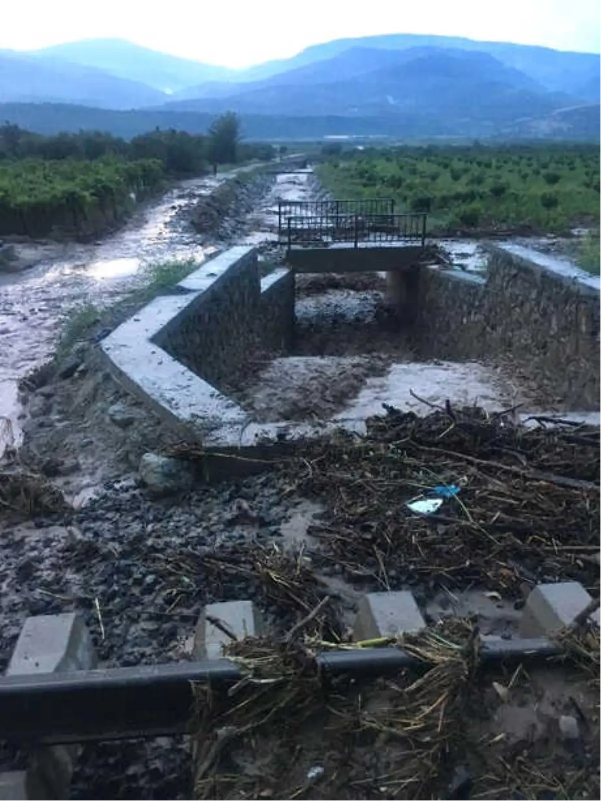 Tekirdağ'daki Tren Faciasının Bir Benzeri Makinistin Dikkati ile Önlendi