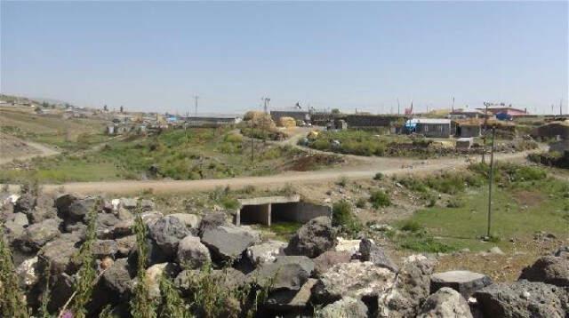 Kuduz Tilki Köpeğe Saldırdı, Köy Karantinaya Alındı