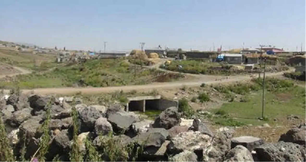 Kars'ta, Kuduz Tilki Köpeğe Saldırdı, Köy Karantinaya Alındı