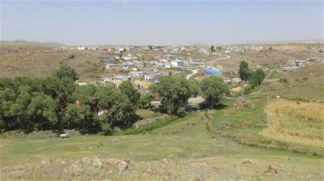 Kuduz Tilki Köpeğe Saldırdı, Köy Karantinaya Alındı