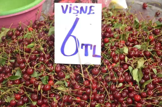 Vişneyi Sinek Vurdu