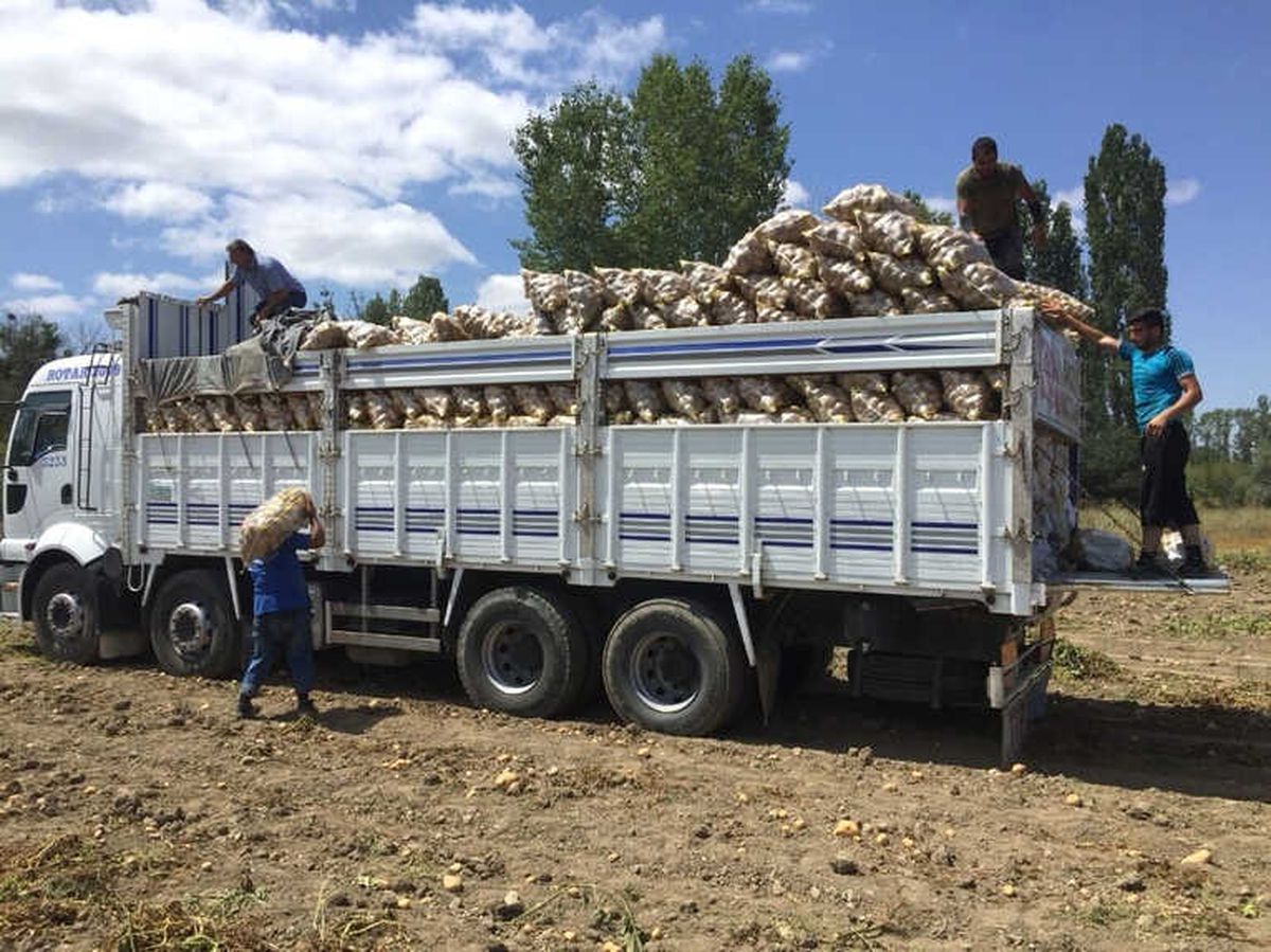 Yozgat'ta Patates ve Soğan Hasadı Devam Ediyor