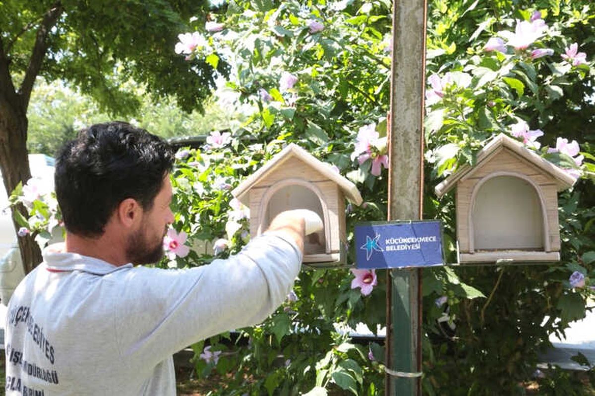 Küçükçekmece'de Sokak Hayvanlarına Yem ve Su Takviyesi