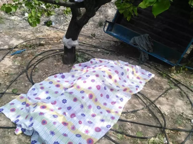 Mut'ta Taktak Motoru Uçuruma Yuvarlandı: 1 Ölü, 6 Yaralı Mut'ta Taktak Motoru Uçuruma Yuvarlandı: 1 Ölü, 6 Yaralı