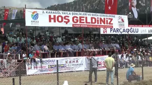 2. Karagöl Yayla Şenlikleri'nde Boğalar Güreşti 2. Karagöl Yayla Şenlikleri'nde Boğalar Güreşti