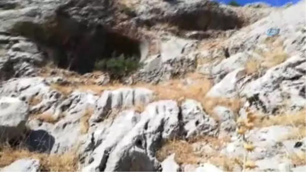 Dağda Mahsur Kalan Türkmen Uyruklu Öğrenci Kurtarıldı