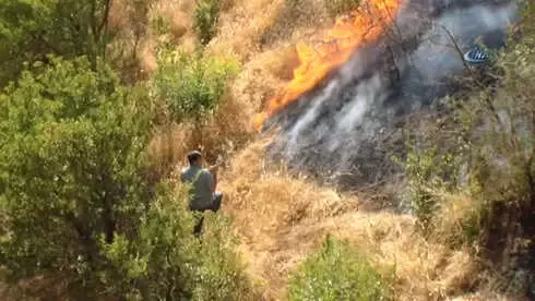 Hizan'da Çıkan Orman Yangınında 3 Bin Dönüm Orman Kül Oldu