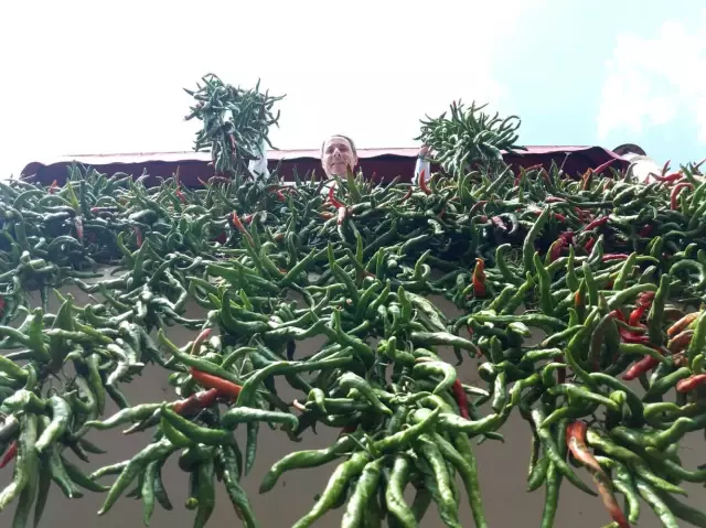 En ''Tatlı'' Acı Balkonlarda Yerini Aldı