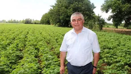 Fiyatlar, Fasulye Üreticisinin Yüzünü Güldürdü