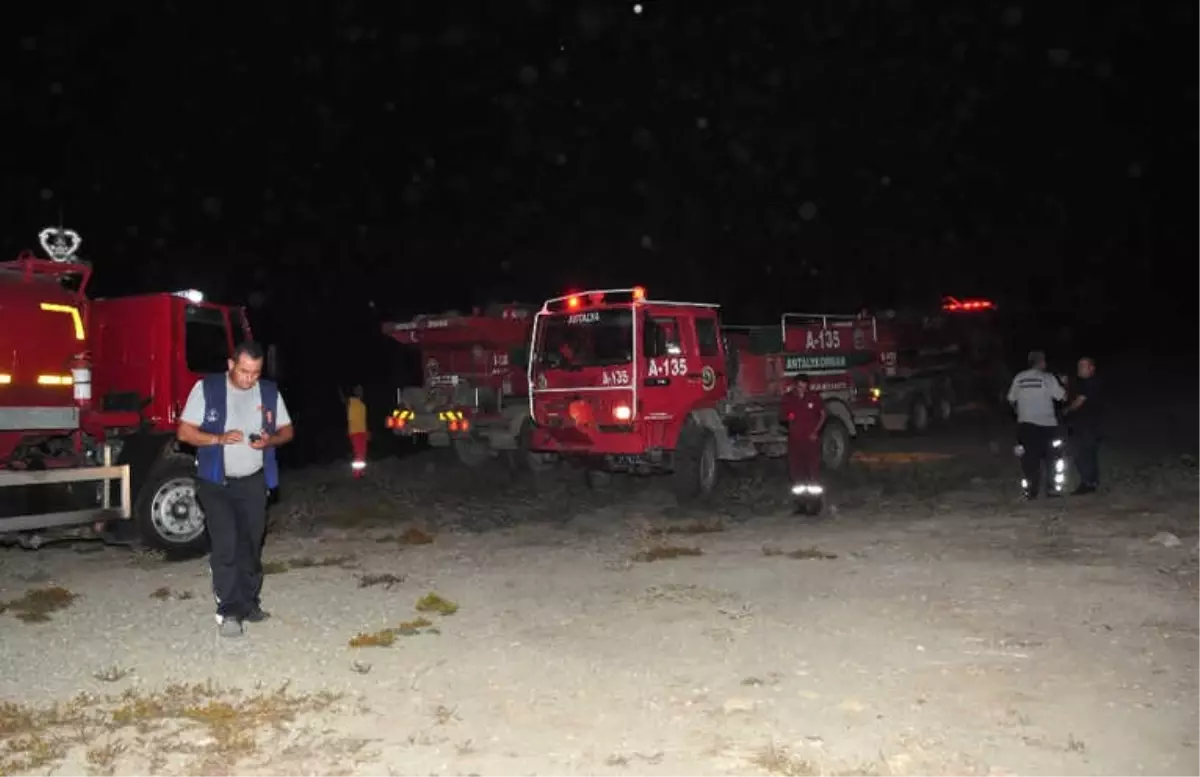 Antalya'da Defineciler Ormanı Yaktı