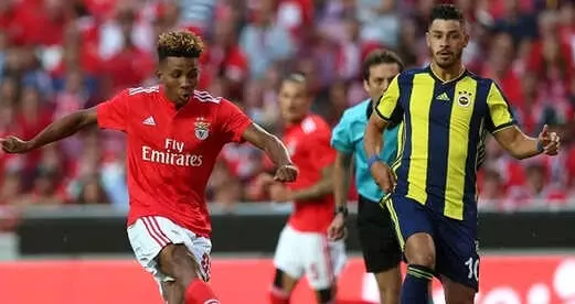 Fenerbahce Benfica Macinda Hayal Kirikligi Yaratti Spor