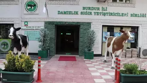 Süt Fiyatlarının Otomatik Belirlenmesi Gerekiyor'