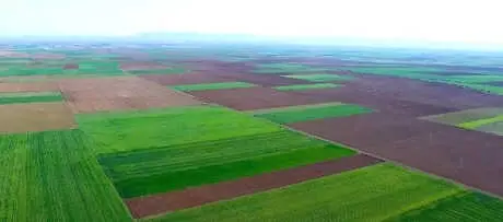 Danıştay: Alpu Termik Santralinde Kömür Madeni İçin Çed Gerekli