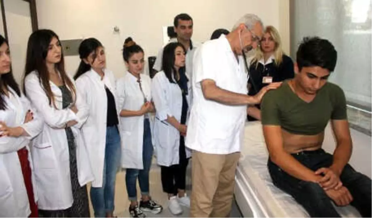 Otomotiv Muhendisligi Staj Ilanlari Universite Staj