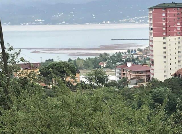 Ordu'da Yaşanan Sel Felaketinde 3 Milyon TL'lik Fındık Karadeniz'e Döküldü!