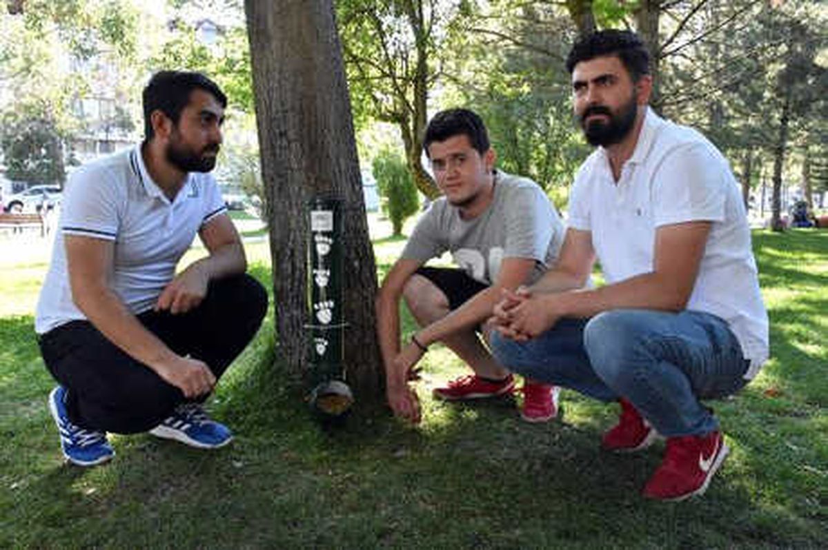Sokak Hayvanlarına 'Ahbap' Projesi
