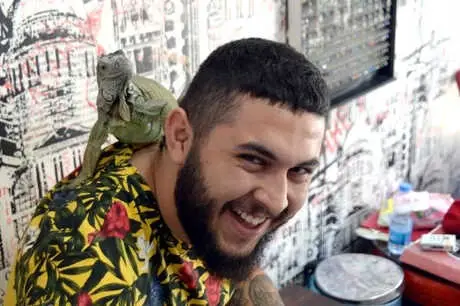 Dövme Stüdyosunda 'İguana' Besliyor