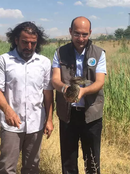 Tedavileri Tamamlanan Kuşlar Yaşam Alanlarına Bırakıldı