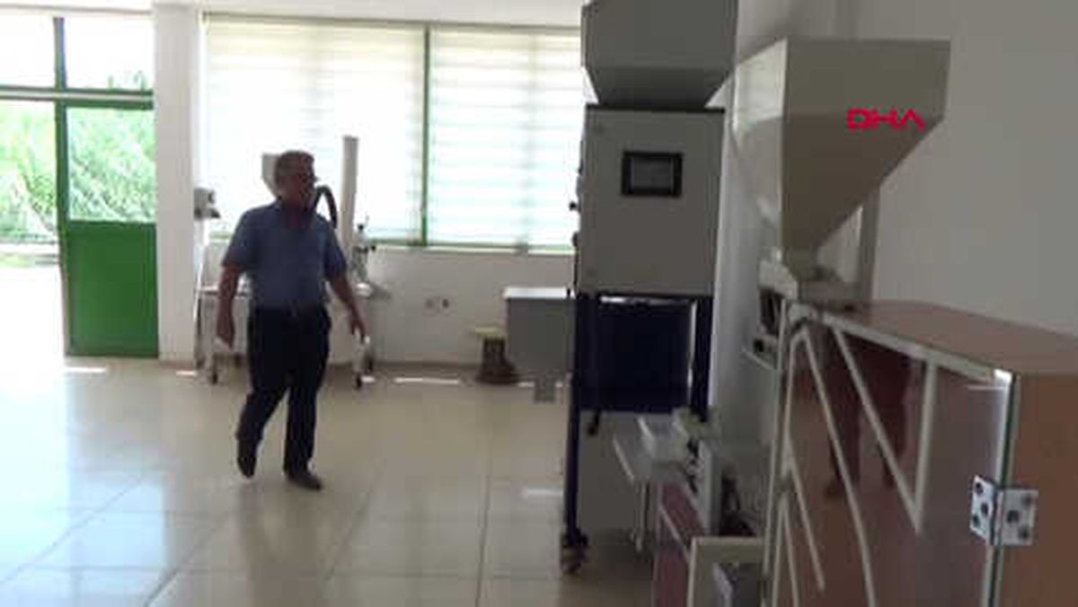Antalya Kumlucalı Firma, Raf Ömrü Uzun Pembe Domates Türü Üretti