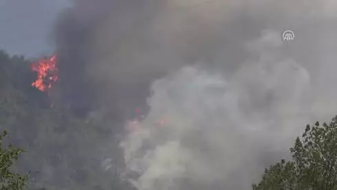 Mudanya'daki Orman Yangını Kontrol Altına Alındı (2)