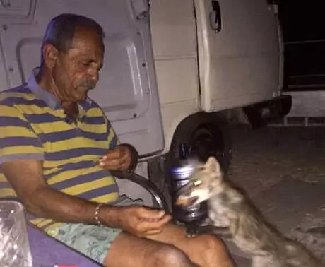 Tilki Osi'yi, Elleriyle Besliyor Tilki Osi'yi, Elleriyle Besliyor