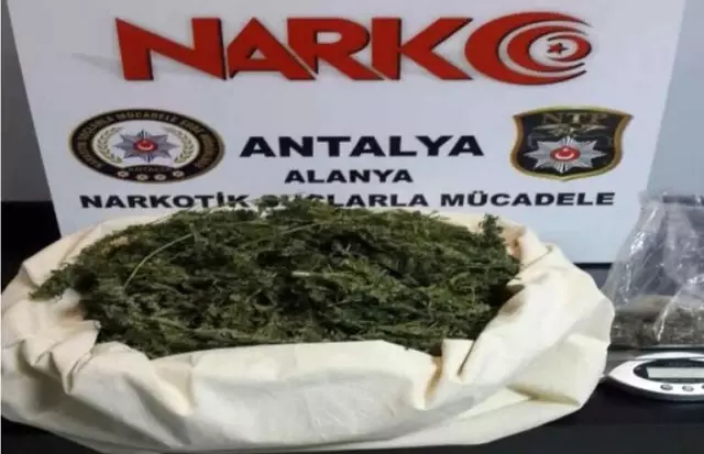 Alanya'da 2 Ayrı Uyuşturucu Operasyonu: 2 Gözaltı