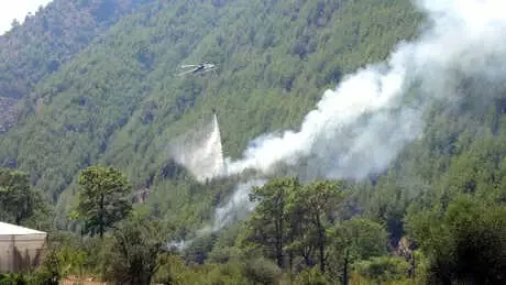 Anamur'da 3 Noktada Orman Yangını