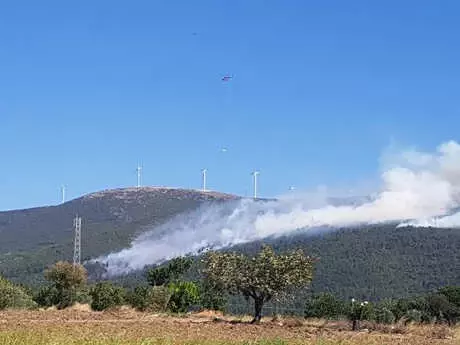 Manisa'da Orman Yangını