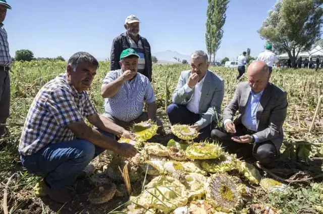 Tarım ve Hayvancılığa Desteklerimiz Sürecek' Tarım ve Hayvancılığa Desteklerimiz Sürecek'