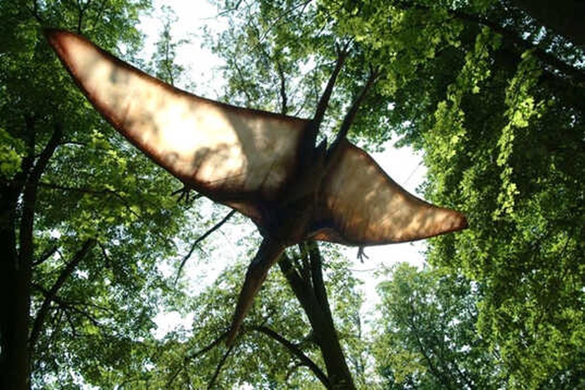 ABD'de Yeni Bir Uçan Dinozor Türü Keşfedildi