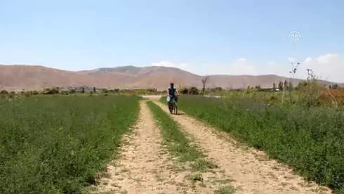 Kanatlı Hayvanlar Yetiştirmek Hobisi Oldu