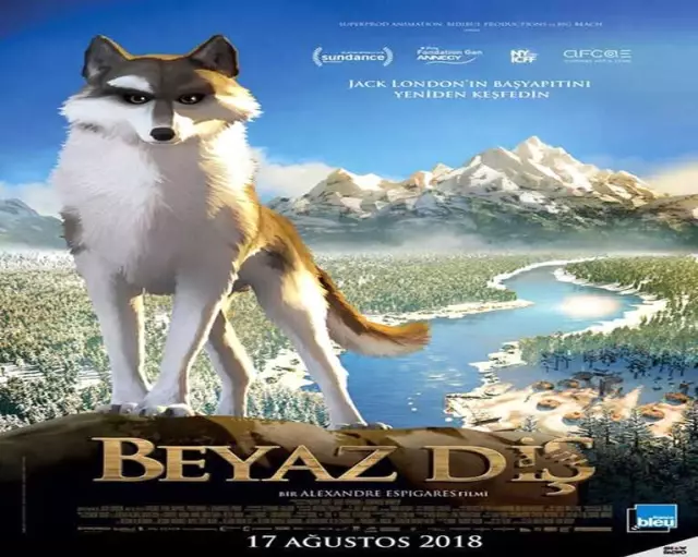 Vizyonda Bu Hafta Vizyonda Bu Hafta