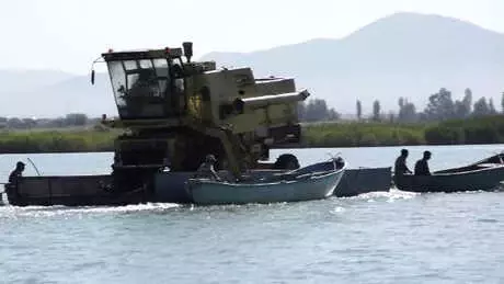 Biçerdöver, Göl Üzerinde Taşındı