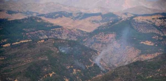 CHP'li Erol: Tunceli Aliboğazı'ndaki Orman Yangını Söndürüldü