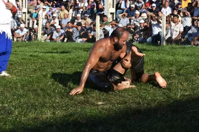 Tosya Güreşleri'nde Başpehlivan Orhan Okulu Oldu Tosya Güreşleri'nde Başpehlivan Orhan Okulu Oldu