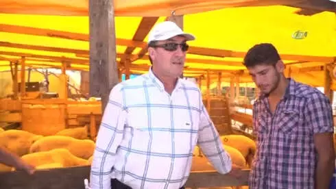 Osmangazi Kurban Bayramına Hazır Osmangazi Kurban Bayramına Hazır
