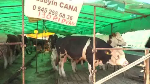 Osmangazi Kurban Bayramına Hazır Osmangazi Kurban Bayramına Hazır