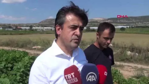 Burdur Vali Şıldak Fasulye Topladı Burdur Vali Şıldak Fasulye Topladı