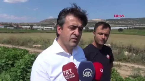 Burdur Vali Şıldak Fasulye Topladı