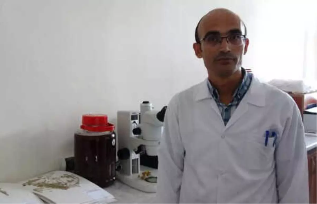 Doç. Dr. Selvi: Hayvanın Beslenme Şekli Protein Değerlerini Etkiliyor